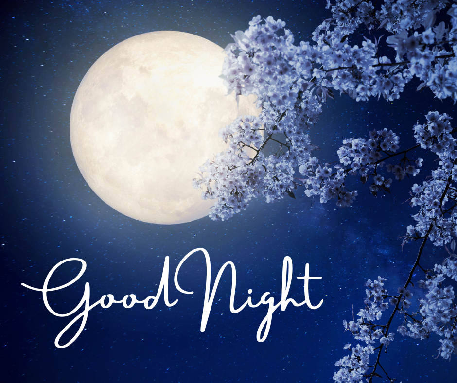 GOOD NIGHT IMAGES in Hindi - EnglishtoHindis