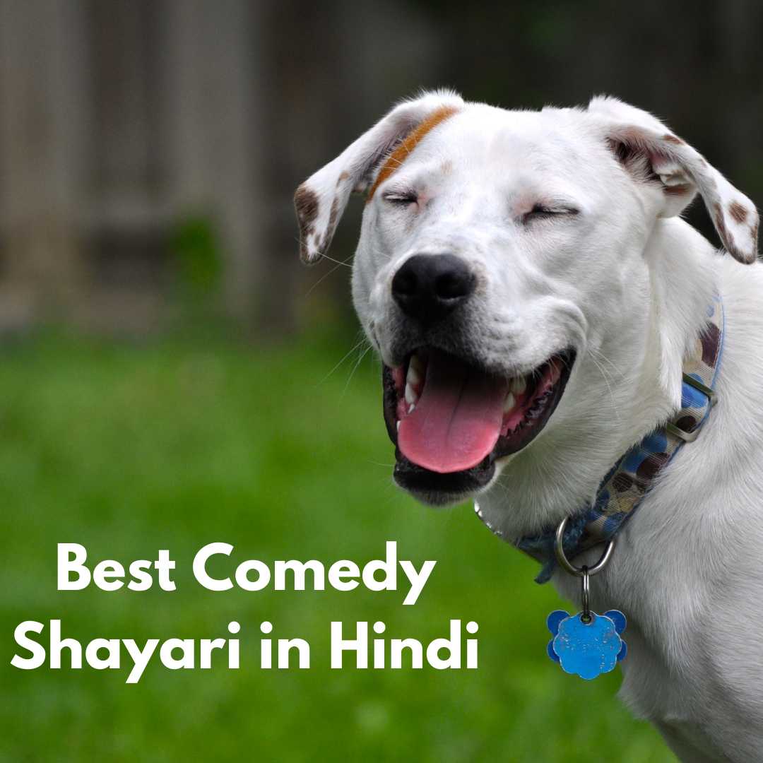 Best Comedy Shayari in Hindi