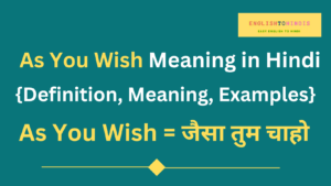 As You Wish Meaning in Hindi | Meaning of As You Wish in Hindi