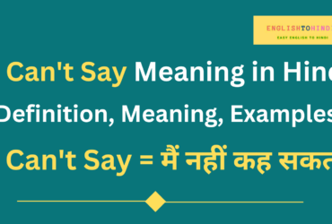 I Can't Say Meaning in Hindi